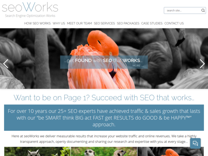 SEO Works Profile, News, Client Reviews & Ratings At 10SEOS