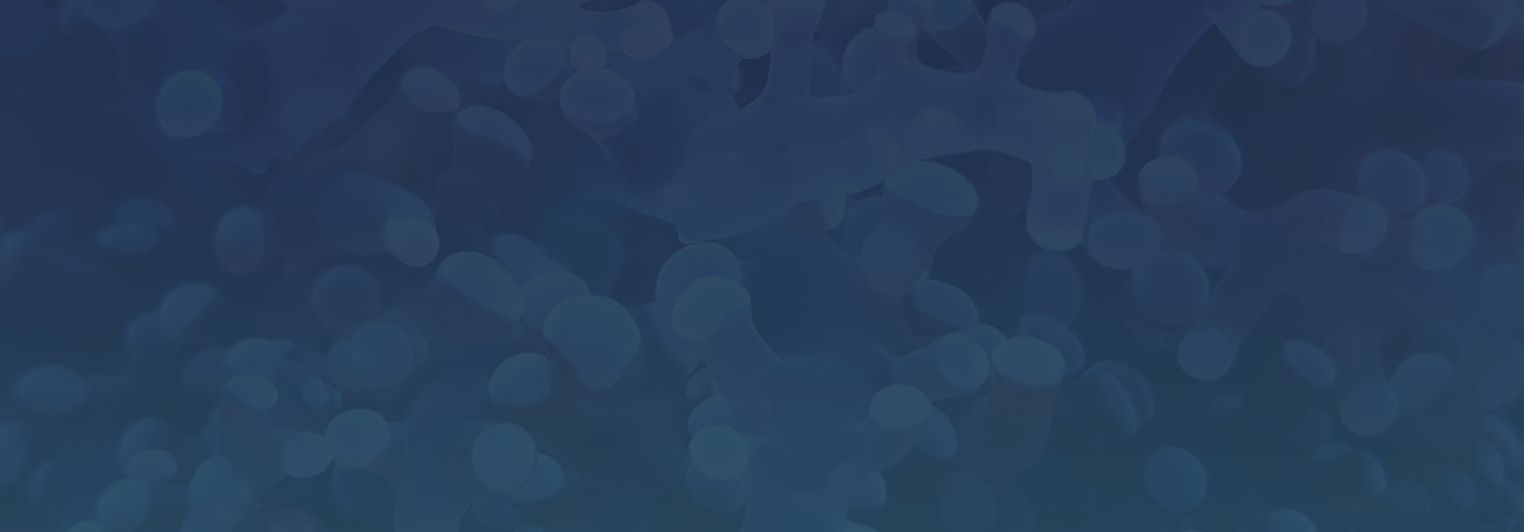 Split Reef Profile, News, Client Reviews & Ratings At 10SEOS