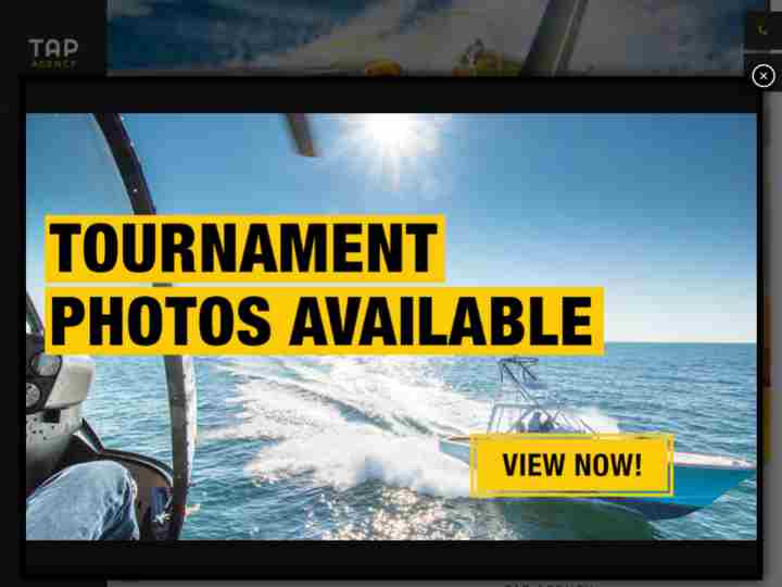 TAP Agency Profile, News, Client Reviews & Ratings At 10SEOS