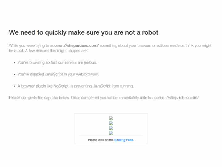 SHEPARD SEO Profile, News, Client Reviews & Ratings At 10SEOS