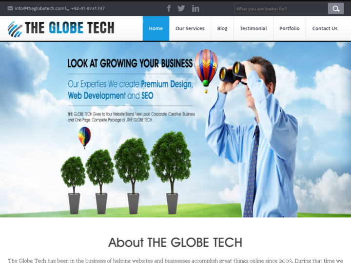 The Globe Tech Profile, News, Client Reviews & Ratings At 10SEOS