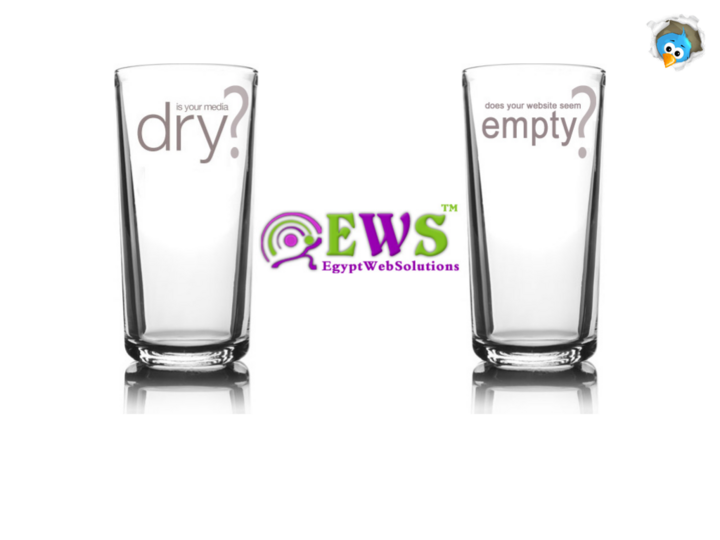 Egypt Web Solutions Profile, News, Client Reviews & Ratings At 10SEOS