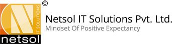 Netsol IT Solutions Pvt. Ltd. Profile, News, Client Reviews & Ratings At 10SEOS