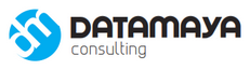 Datamaya Consulting Profile, News, Client Reviews & Ratings At 10SEOS