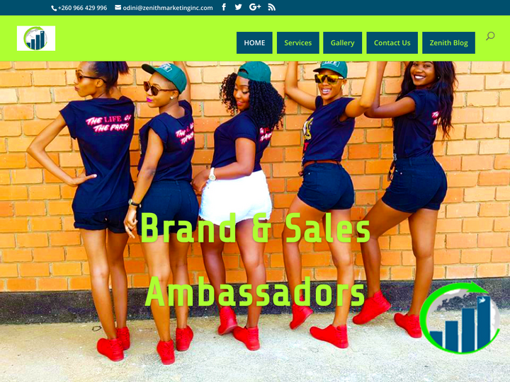 Zenith Marketing Profile, News, Client Reviews & Ratings At 10SEOS