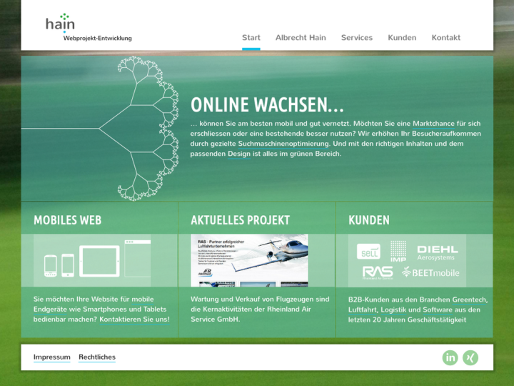 Hain Web Project Development Profile, News, Client Reviews & Ratings At 10SEOS