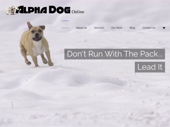 Alpha Dog Online Profile, News, Client Reviews & Ratings At 10SEOS