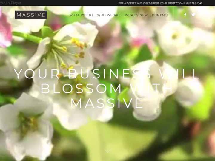 Massive Ltd Profile, News, Client Reviews & Ratings At 10SEOS