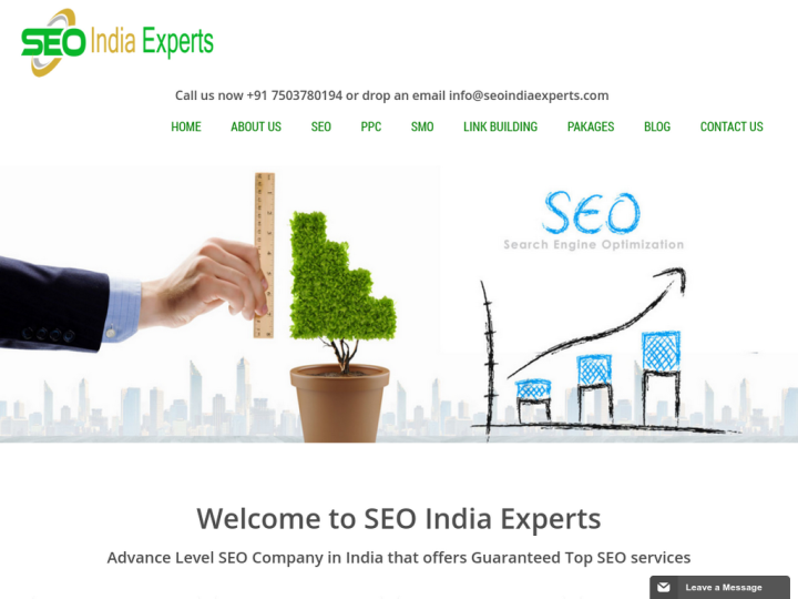 Seo India Experts Profile, News, Client Reviews & Ratings At 10SEOS
