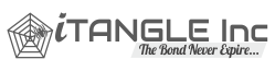 Itangle Inc Profile, News, Client Reviews & Ratings At 10SEOS