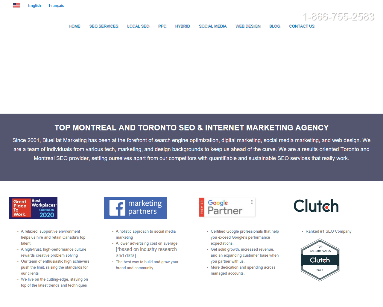 Bluehat Marketing Profile, News, Client Reviews & Ratings At 10SEOS