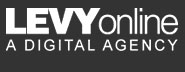 Levy Online Profile, News, Client Reviews & Ratings At 10SEOS