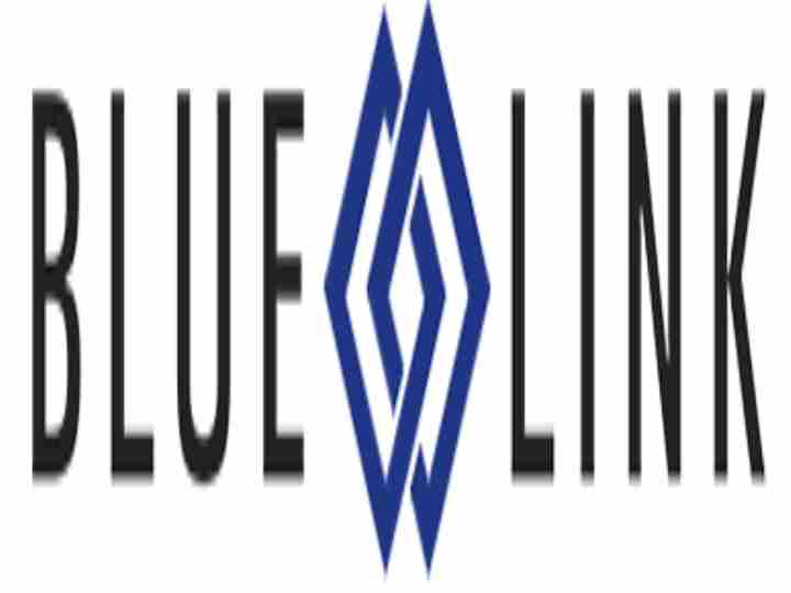 Blue Link ERP