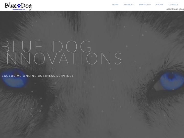 Blue Dog Innovations