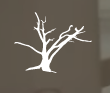 Red Branch Media