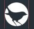 Blackbird Digital