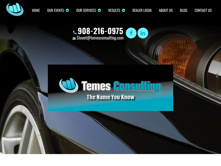 Temes Consulting LLC