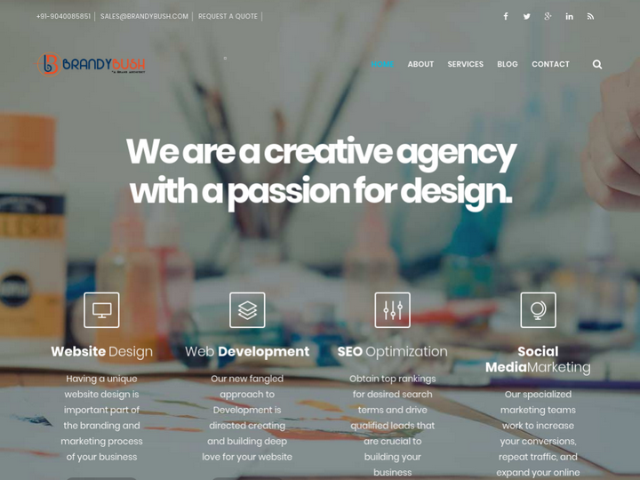 BrandyBush Information Technology Pvt. Ltd.