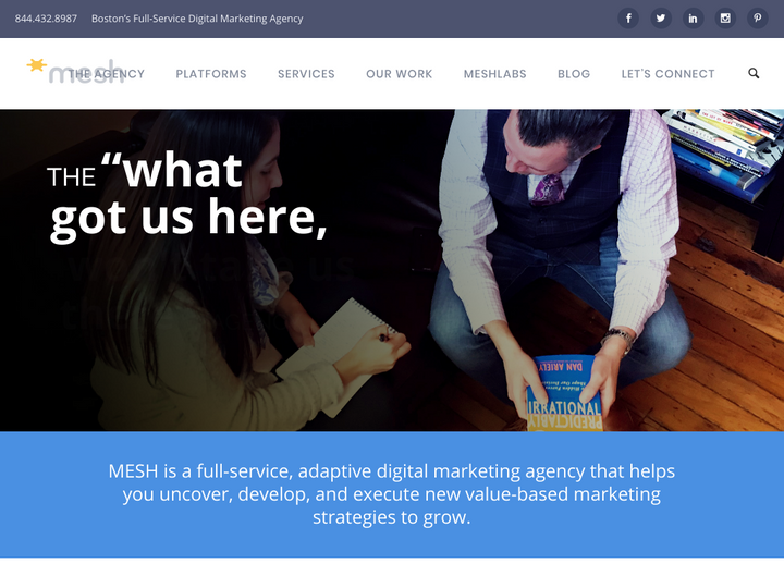 Mesh Interactive Agency