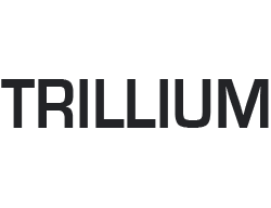 Trillium Data Quality