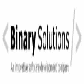 Binary Solutions Inc.