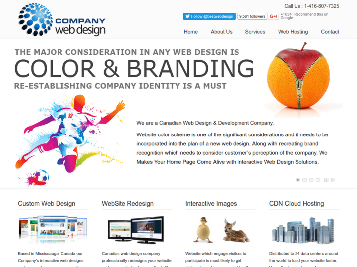 Company Web Design