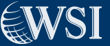WSI Omega Solutions