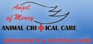 Angel Of Mercy Animal Critical Care