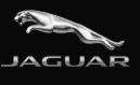 Jaguar Albuquerque