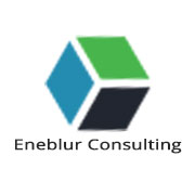 Eneblur Consulting