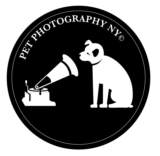 Pet Photography New York