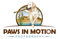 Paws in Motion Photography