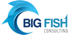 Big Fish Consulting