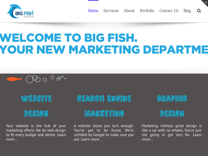 Big Fish Consulting