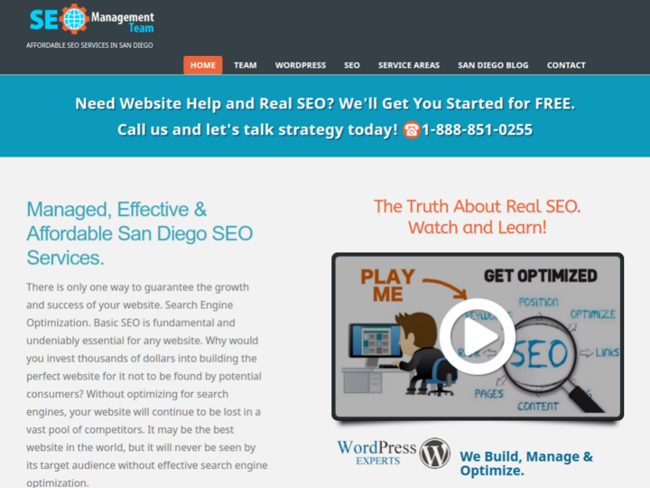 SEO Management Team