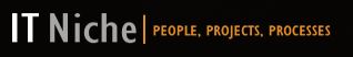 IT Niche
