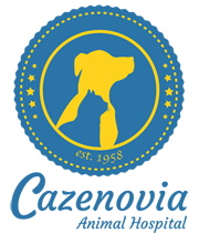 Cazenovia Animal Hospital