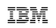 IBM System Storage N Series