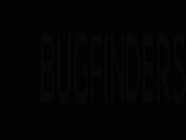 BugFinders Ltd.