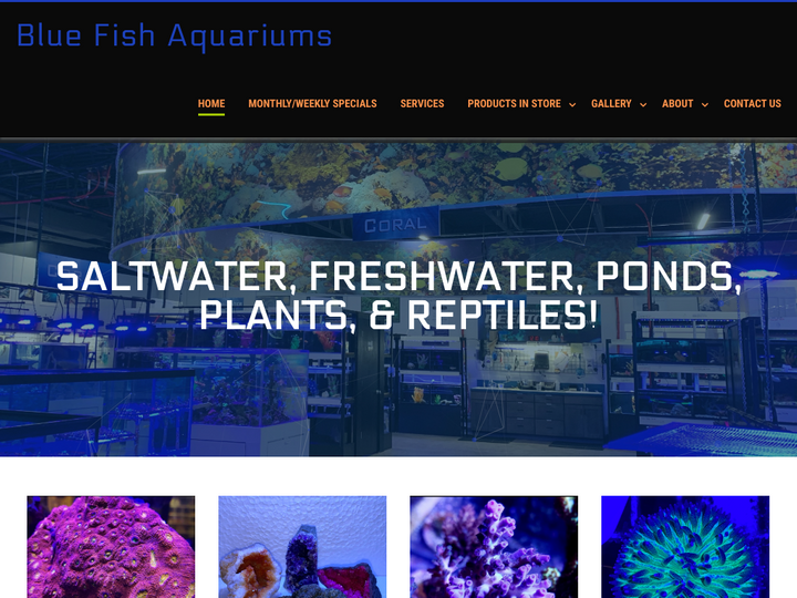 Blue Fish Aquariums