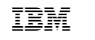 IBM Data Center Outsourcing