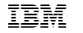 IBM InfoSphere Information Server