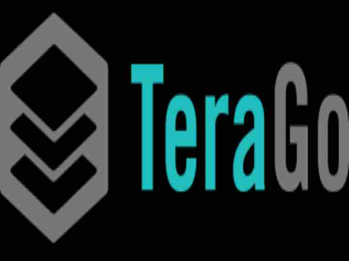 TeraGo Data Center Outsourcing