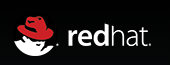 Red Hat JBoss Enterprise Data Services Platform