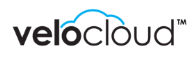 VeloCloud Networks