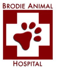 Brodie Animal Hospital