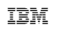 IBM SmartCloud Data Virtualization