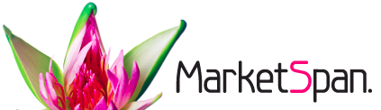 Marketspan Ltd