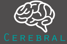 Cerebral Agency Ltd