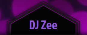 DJ Zee - Indian DJ - Pakistani DJ